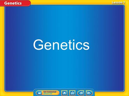 Genetics. Chapter Introduction How are traits passed from parents to offspring?