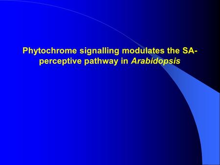 Phytochrome signalling modulates the SA-perceptive pathway in Arabidopsis.