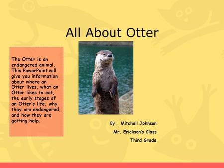 All About Otter By: Mitchell Johnson Mr. Erickson’s Class Third Grade The Otter is an endangered animal. This PowerPoint will give you information about.