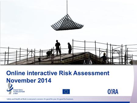 Online interactive Risk Assessment November 2014.