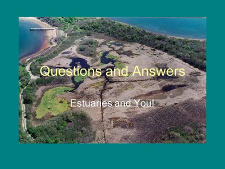 Questions and Answers Estuaries and You!.