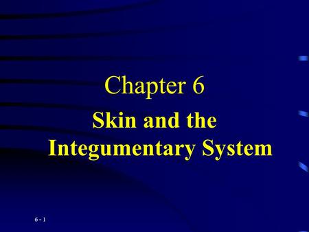 Skin and the Integumentary System
