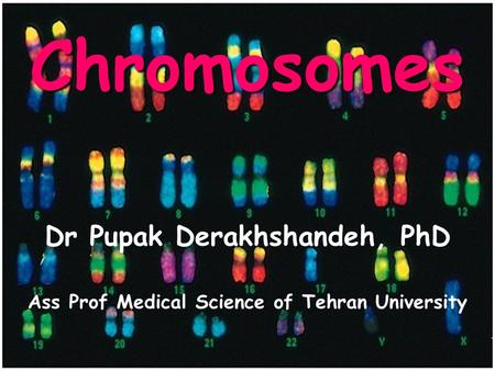 Chromosomes Dr Pupak Derakhshandeh, PhD