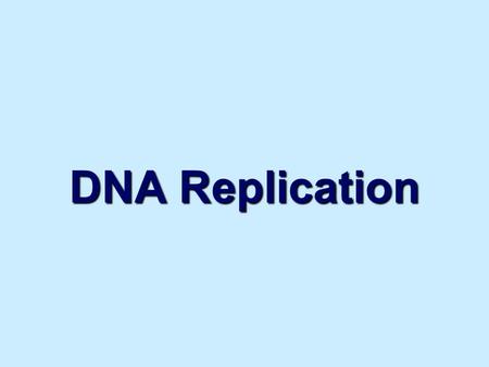 DNA Replication. DNA Replication DNA Replication Origins of replicationOrigins of replication Replication ForkshundredsY-shaped replicating DNA molecules.