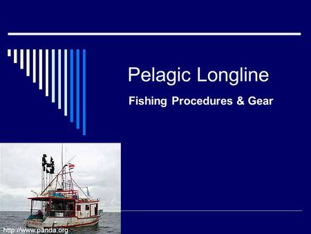 Pelagic Longline Fishing Procedures & Gear