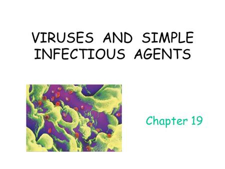 Chapter 19 VIRUSES AND SIMPLE INFECTIOUS AGENTS. 1) 1892, use porcelain filter to filterize tobacco leaves extrat  filterable agent 2) 1898, Martinus.