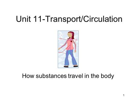 1 Unit 11-Transport/Circulation How substances travel in the body.