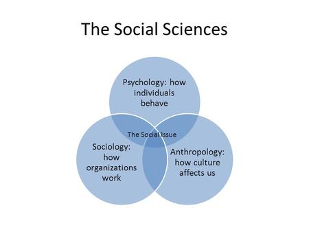 The Social Sciences Psychology: how individuals behave Anthropology: how culture affects us Sociology: how organizations work The Social Issue.
