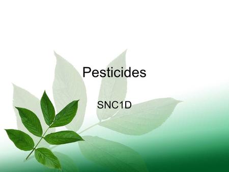 Pesticides SNC1D. Pest Pests are living organisms that are not wanted around us. Examples of pests include unwanted dandelions growing in the lawn; rodents.