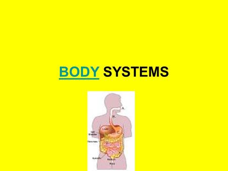 BODY SYSTEMS.