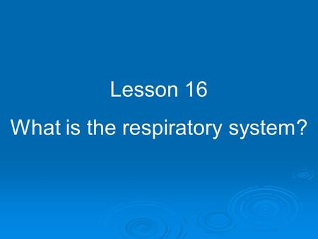 What is the respiratory system?