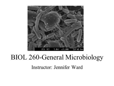 BIOL 260-General Microbiology Instructor: Jennifer Ward.