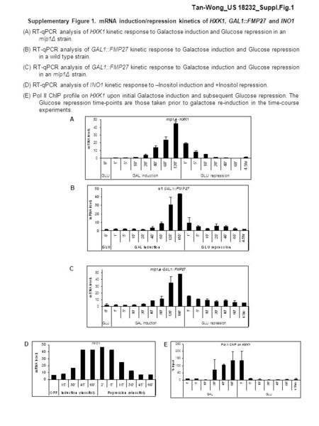 Supplementary Figure 1. mRNA induction/repression kinetics of HXK1, GAL1::FMP27 and INO1 (A) RT-qPCR analysis of HXK1 kinetic response to Galactose induction.