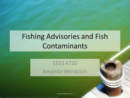 Fishing Advisories and Fish Contaminants EEES 4730 Amanda Wendzicki.