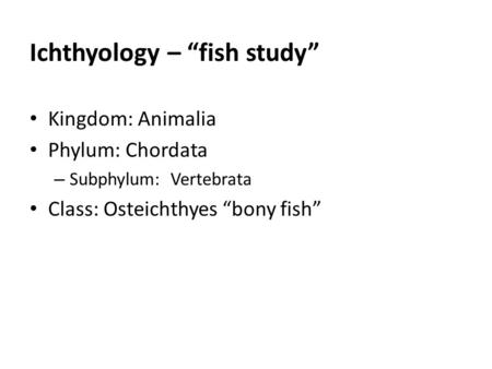 Ichthyology – “fish study” Kingdom: Animalia Phylum: Chordata – Subphylum: Vertebrata Class: Osteichthyes “bony fish”