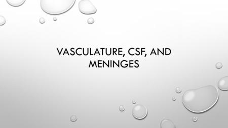 Vasculature, csf, and meninges