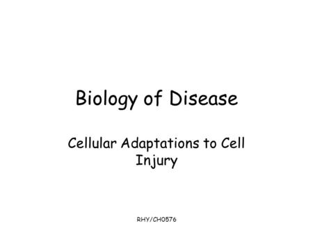 Cellular Adaptations to Cell Injury