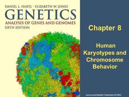 Chapter 8 Human Karyotypes and Chromosome Behavior