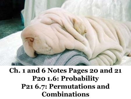 Ch. 1 and 6 Notes Pages 20 and 21 P20 1.6: Probability P21 6.7: Permutations and Combinations.