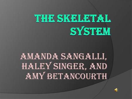 Amanda Sangalli, Haley Singer, and Amy Betancourth.