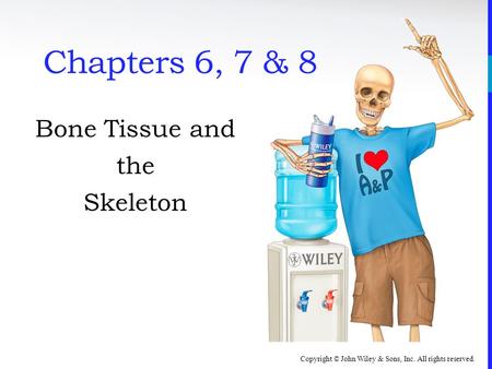 Bone Tissue and the Skeleton
