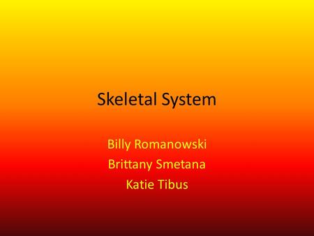 Skeletal System Billy Romanowski Brittany Smetana Katie Tibus.