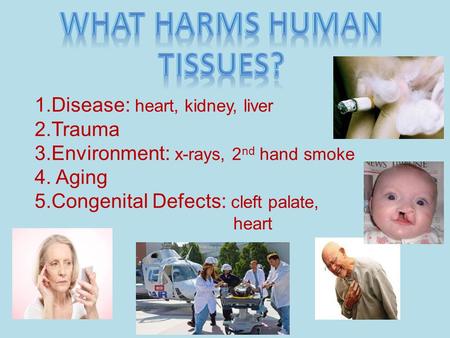 1.Disease: heart, kidney, liver 2.Trauma 3.Environment: x-rays, 2 nd hand smoke 4. Aging 5.Congenital Defects: cleft palate, heart.