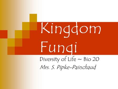 Kingdom Fungi Diversity of Life ~ Bio 20 Mrs. S. Pipke-Painchaud.