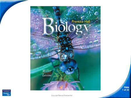 Slide 1 of 32 Copyright Pearson Prentice Hall Biology.