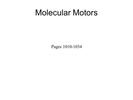 Pages 1010-1034 Molecular Motors. General Characteristics of Molecular Motors Motor proteins – bind to a polarized cytoskeletal filament and use the energy.