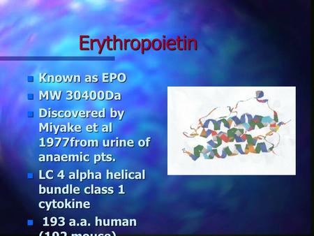 Erythropoietin n Known as EPO n MW 30400Da n Discovered by Miyake et al 1977from urine of anaemic pts. n LC 4 alpha helical bundle class 1 cytokine n 193.