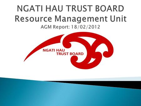  Hapu Environmental Management Plan  Strategic Plan  Monitoring Equipment – Safety Equipment  Office Equipment  New Volunteer Recruits  Planting.