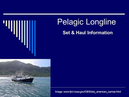 Pelagic Longline Set & Haul Information Image: www.fpir.noaa.gov/OBS/obs_american_samoa.html.