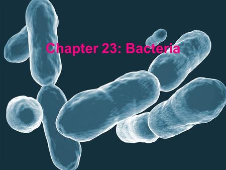 Chapter 23: Bacteria. Overview on Bacteria -Microscopic -Unicellular organism -Prokaryote: –lack of membrane bound nucleus and organelles –found everywhere.
