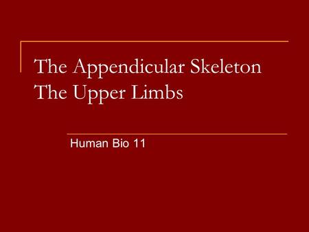 The Appendicular Skeleton The Upper Limbs Human Bio 11.