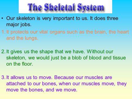Our skeleton is very important to us. It does three major jobs.