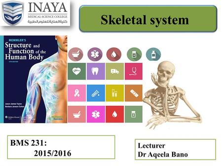 BMS 231: 2015/2016 Skeletal system Lecturer Dr Aqeela Bano.