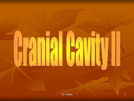 Cranial Cavity II Dr. Vohra.