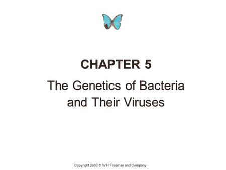 CHAPTER 5 The Genetics of Bacteria and Their Viruses CHAPTER 5 The Genetics of Bacteria and Their Viruses Copyright 2008 © W H Freeman and Company.