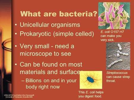 What are bacteria? Unicellular organisms Prokaryotic (simple celled) Very small - need a microscope to see Can be found on most materials and surfaces.