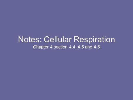Notes: Cellular Respiration Chapter 4 section 4.4; 4.5 and 4.6
