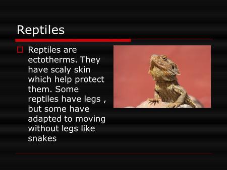 Reptiles  Reptiles are ectotherms. They have scaly skin which help protect them. Some reptiles have legs, but some have adapted to moving without legs.