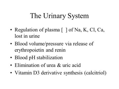 The Urinary System Regulation of plasma [ ] of Na, K, Cl, Ca, lost in urine Blood volume/pressure via release of erythropoietin and renin Blood pH stabilization.