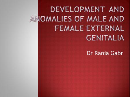 Dr Rania Gabr.  For the male and female external genitalia:  a.Describe their development.  a.Discuss their congenital anomalies.