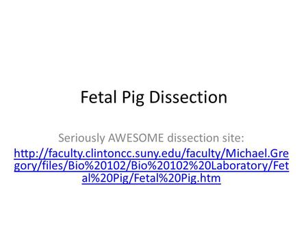 Seriously AWESOME dissection site: