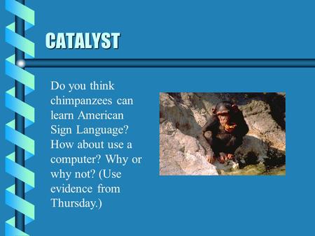 CATALYST Do you think chimpanzees can learn American Sign Language? How about use a computer? Why or why not? (Use evidence from Thursday.)