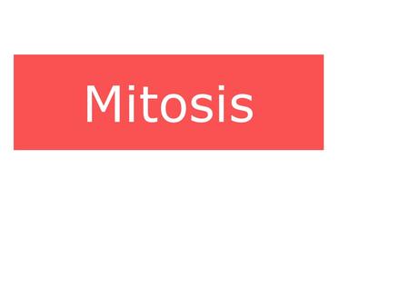 Mitosis. Mitosis – what is it? Mitosis is the division of the genetic material in the nucleus of the cell. (Note: the mitochondria and chloroplast also.