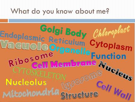What do you know about me?. Important Cell Vocabulary  Cell – small compartments that hold all of the biological equipment necessary to keep an organism.