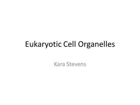 Eukaryotic Cell Organelles Kara Stevens. Nucleus Area that contains the DNA.