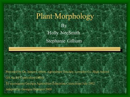 Plant Morphology By Holly NeeSmith Stephanie Gilliam Provided by Dr. James Corbett, Agriculture Teacher, Lowndes Co. High School GA Ag Ed Curriculum Office.
